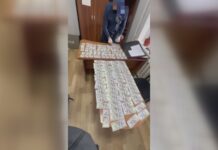 УКМК: жасалма чет элдик валютаны мыйзамсыз алып кирүүгө аракет кылгандар кармалды