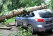 Мэрия унаа ээлерине эскертүү берди