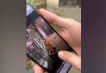 В Бишкеке задержан организатор интернет-магазина наркотиков — видео