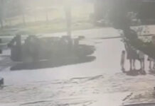 В Токмаке «Toyota Sequoia» сбила на «зебре» женщину с тремя детьми