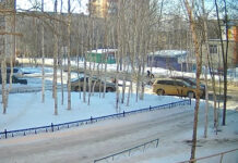 Якутияда кыргызстандык жаранга кол салуу: анын далысын, бутун кесип, кескич менен курсагын тилип салышкан