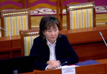 ЖК одобрил кандидатуру Джамили Джаманбаевой на должность омбудсмена