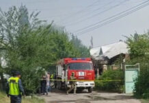 ВИДЕО. Дмитриевка айылындагы ок атышуу