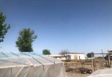 В Чуйской области мать-одиночка с тремя детьми и пожилой матерью живут в кошаре