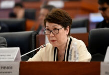 Гуля Кожокулова: Орусияда avito.ru жарнама сайтында Кыргызстандын паспорту ачык эле сатылууда