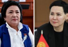 “Крокодилдер”: Камила Талиева Айнур Жоробекованы кылмыш жообуна тартууну сунуштады