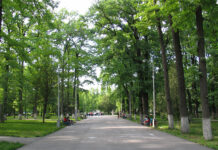 Мэр Бишкека поручил за месяц построить туалеты в парках