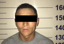 Бишкекте жаран бычактан жаракат алып, ооруканага түштү