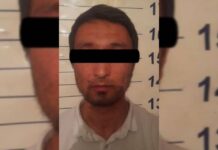 Тик-Токер Каныбек Кудайбердиев кармалды