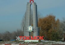 Токмокто жаш балдар арасында мушташтын чоо-жайы