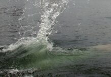 В Базар-Коргоне 18-летний парень погиб, пытаясь спасти теленка