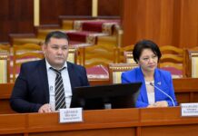 Шухрат Айтиев и Айчурек Назаралиева избраны заместителями омбудсмена КР