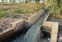 В Бишкеке ситуация с нехваткой поливной воды начала улучшаться