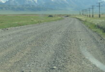 Ташиев взял под личный контроль строительство дороги в Ноокатском районе