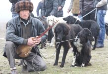 Возле комплекса «Башня Бурана» пройдет этнофестиваль «Тайган Фест»