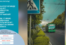 Бүгүн №5 жана №7 троллейбустук каттамдар линияга чыкпайт