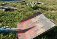 Депутат возмущена организацией субботника в такую жару