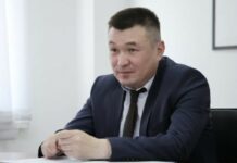 Манас Мураталиев Тогуз-Торо районуна аким болду