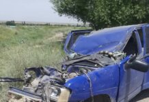 Жаңы-Жер айылында жол кырсыгы катталды