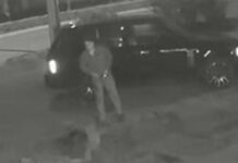 Минприроды: Подозреваемый в попытке изнасилования уволился еще в апреле