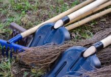 Бишкекчан приглашают на субботник 10 июня