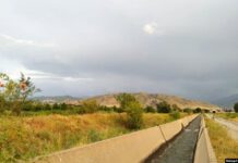 Көк-Жарда суугат суунун жоктугунан дыйкандар жол тосууда