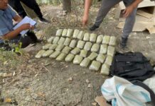 В Кыргызстане с начала года из незаконного оборота изъято более 2 тонн наркотиков