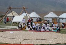 Нарында кыргыз шырдагы туристтерге 400 миң сомго сатылды