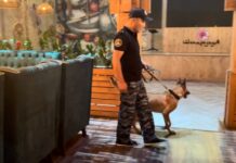 Наркоборцы провели рейд по ночным клубам Бишкека — видео