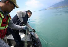 Садыр Жапаров посмотрел, как очищают дно Иссык-Куля, и помог водолазам — видео