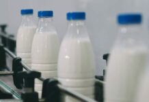 Россельхознадзор снял ограничения на ввоз рыбы и молочки из Кыргызстана