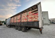 Таможня выявила факт недостоверного декларирования товара стоимостью $19 тысяч