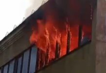 В селе Люксембург под Бишкеком горит школа — видео