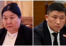 Закон о НКО. Лейла Лурова отозвала свою подпись, еще один депутат готов отозвать