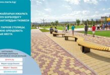 Соода кылуу үчүн сейил бактардын тизмеси жарыяланды