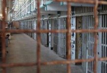 Соттолгон кыргыз жарандарын мекенине кайтаруу маселеси Тажикстанда көтөрүлдү