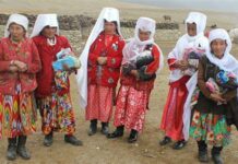 Этникалык кыргыздарды колдоо мыйзам долбоору жактырылды