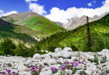 Ала-Арча паркы эки күнгө жабылат