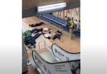 Күч кызматкерлери «Манас» аэропортунда кармоо жүргүзгөн