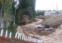 Кадамжайда сел унааны агызып кетип, айдоочуну куткарып калышты