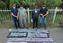 В Ноокате чиновники «Кадастра» пытались подкупить сотрудника ГКНБ