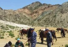 Айтматов РИИБдин көчмө кабылдамасы малдарды жайлоолорго кайтарууда этият болууга чакырды