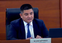 Эмил Жамгырчиев «Бейөкмөт уюмдар жөнүндө» мыйзамды иштеп чыккан топтон чыкты