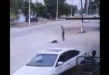 Задержан подросток, жестоко избивший 16-летнего парня в селе Васильевка