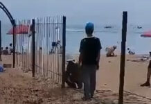 Депутат: В сносе заборов на Иссык-Куле не должно быть избирательности