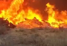В парке Победы в Бишкеке произошел пожар