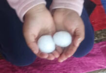 Близ Бишкека вчера выпал град размером с мячики для пинг-понга