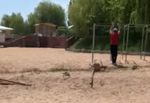 На пляжах Иссык-Куля демонтировали почти все ограждения