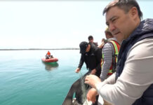 Президент: Откуда такое равнодушие и бессердечность к родному озеру?