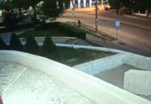 ВИДЕО: Бишкекте түн ортосунда жаранды тоногон адам кармалды